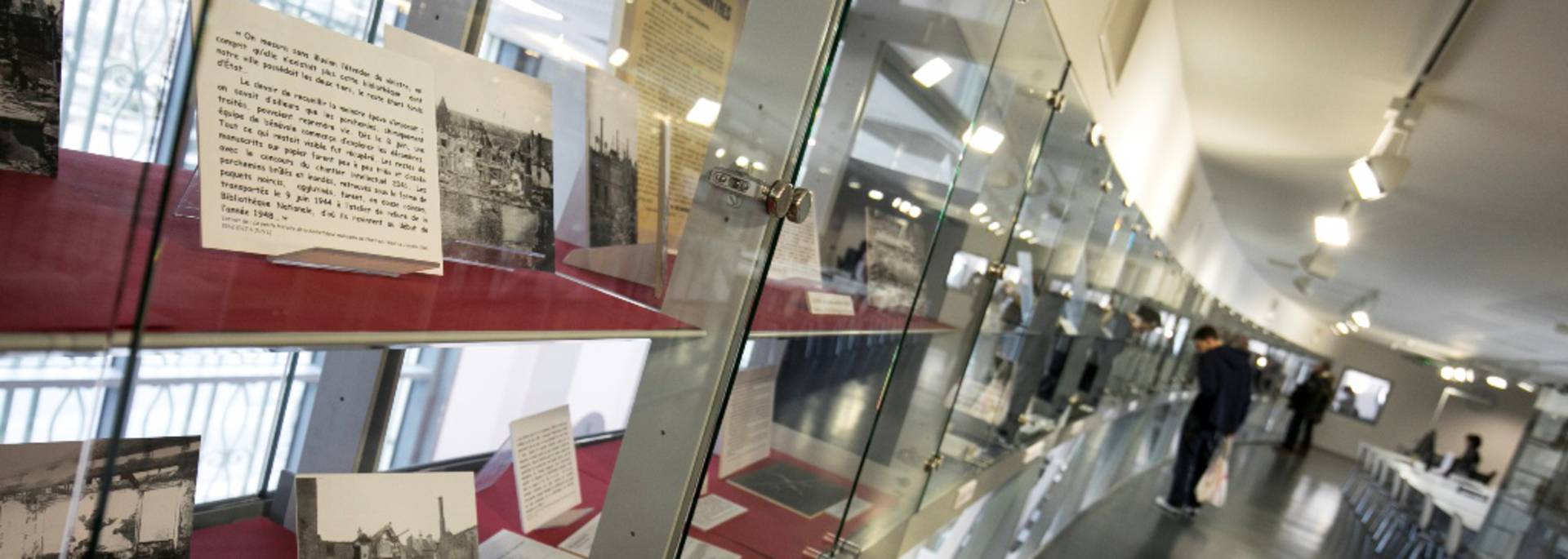 Exposition dans la médiathèque l'Apostrophe