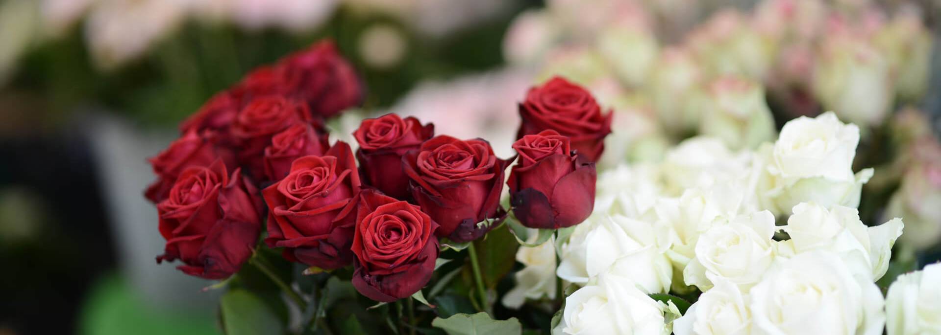 Marché aux fleurs sur la place du Cygne