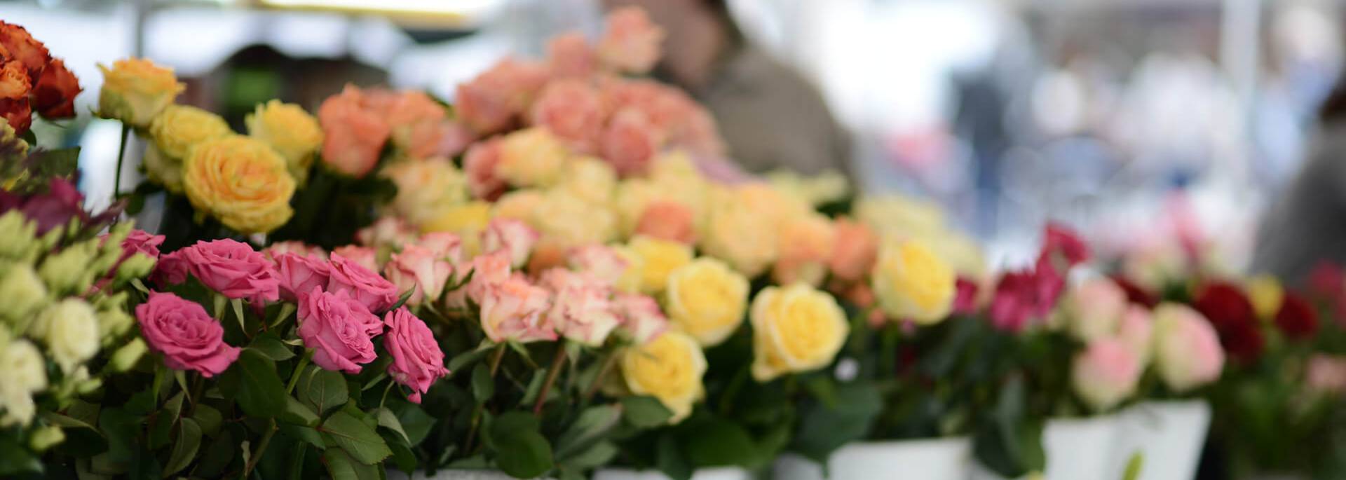 Marché aux fleurs sur la place du Cygne
