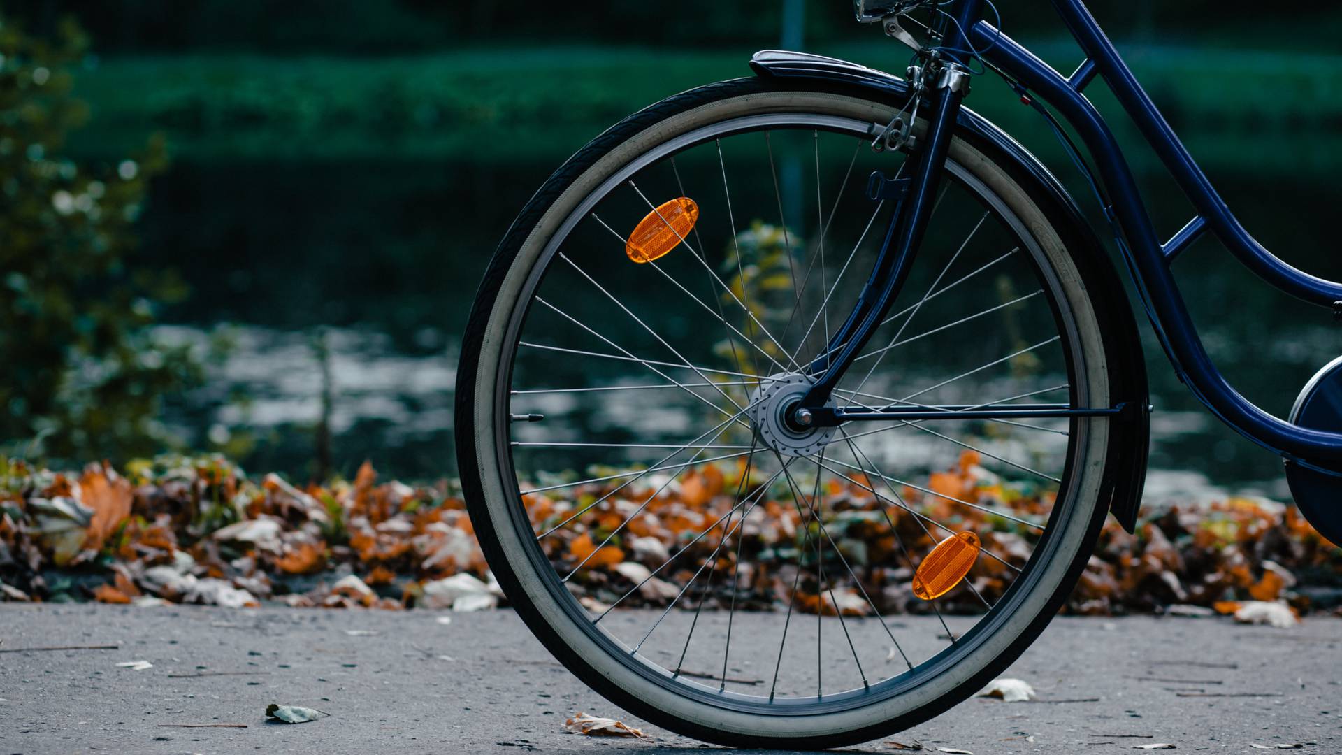 Balade à vélo