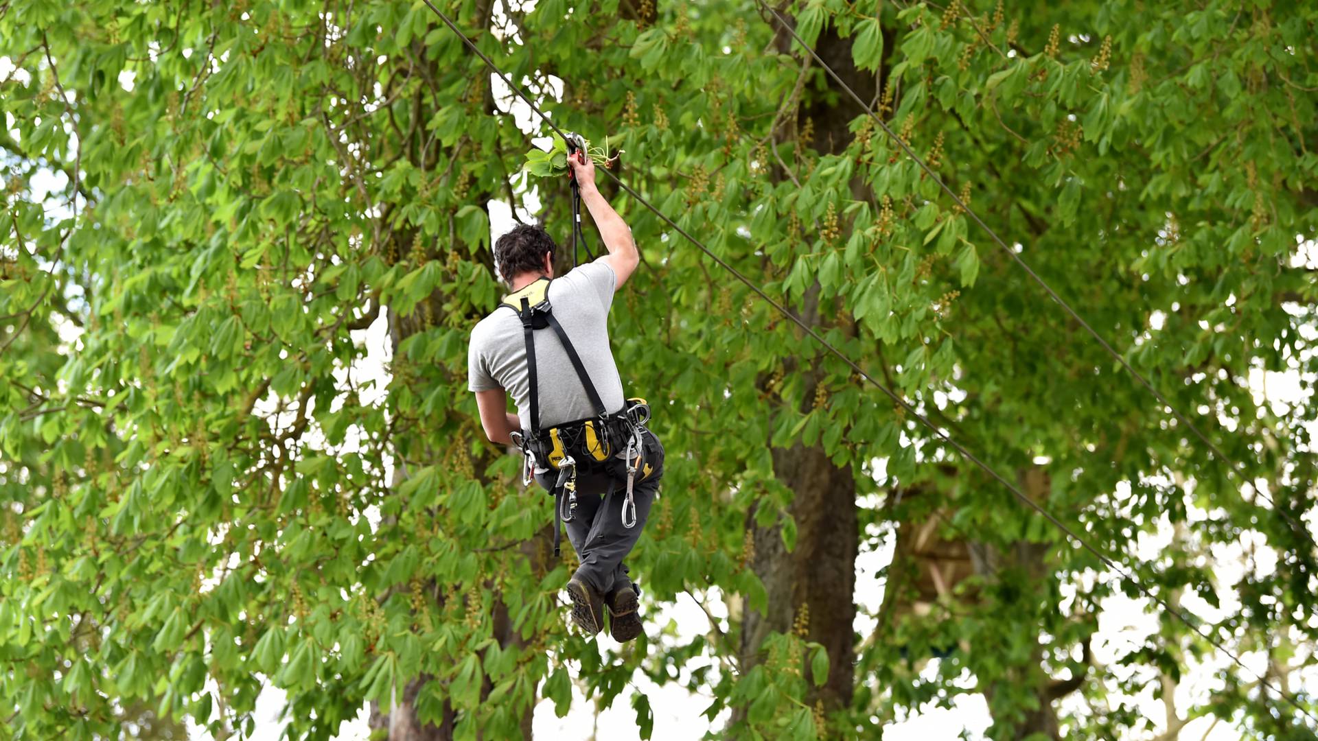 Accrobranche en centre-ville de Chartres