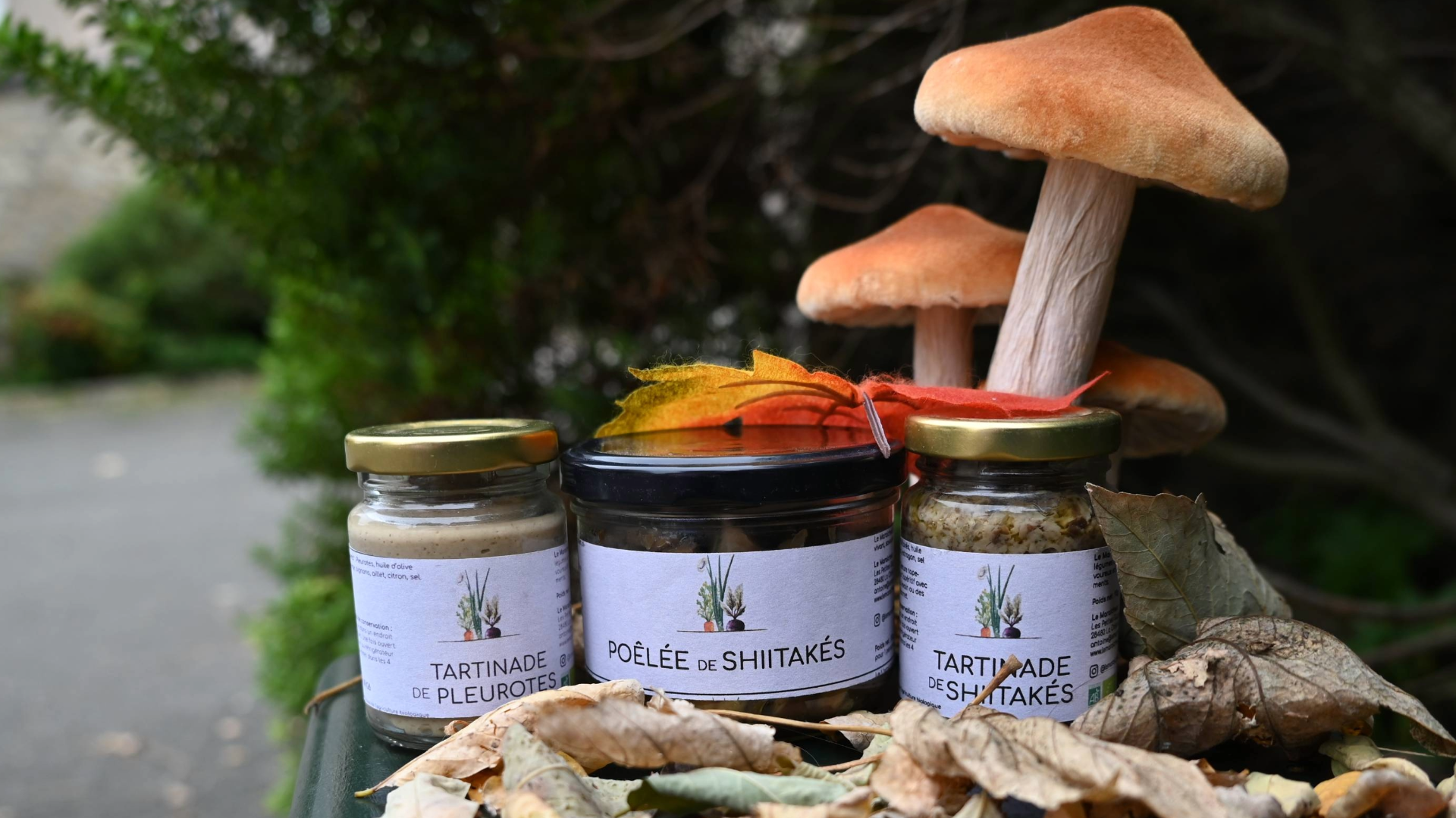 Goûter l'automne 100% local