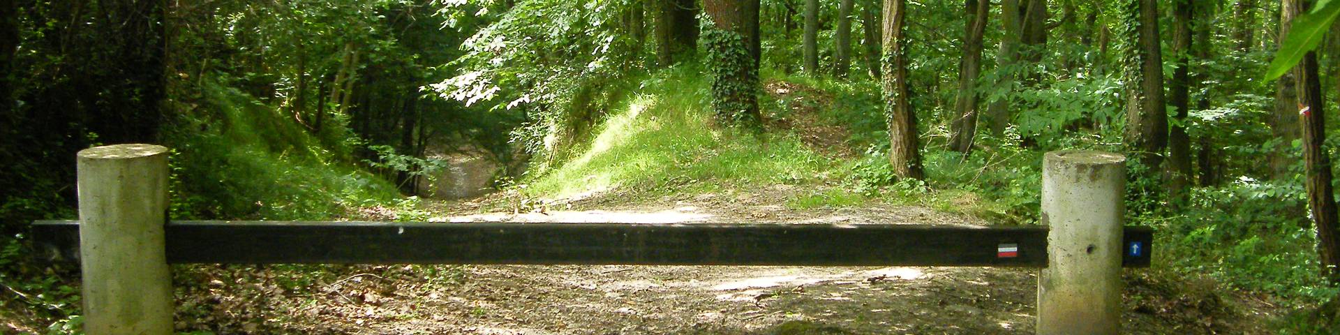 Chemin Charles Péguy