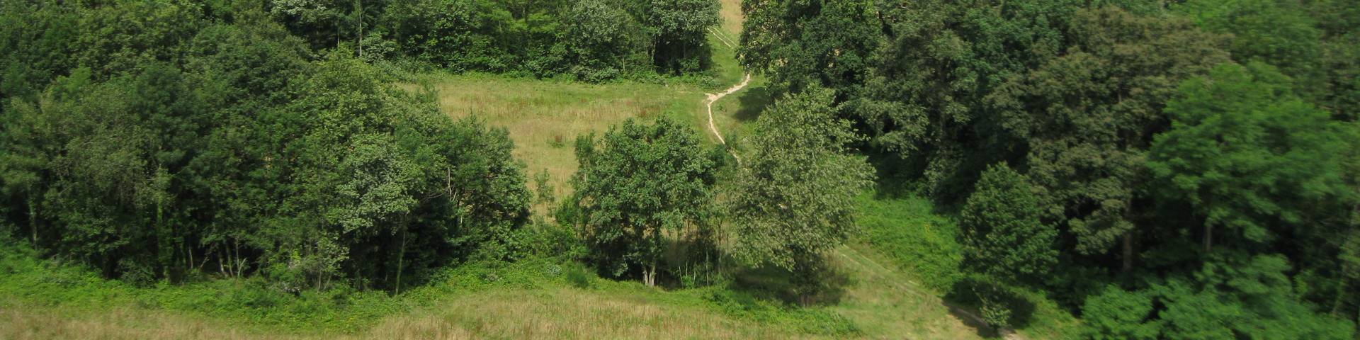 Chemin Charles Péguy