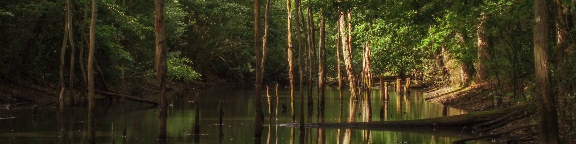 Canal Louis XIV