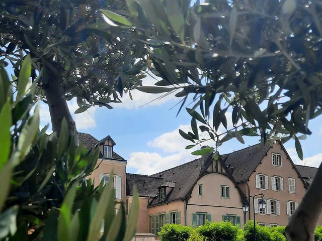 Chartres en été