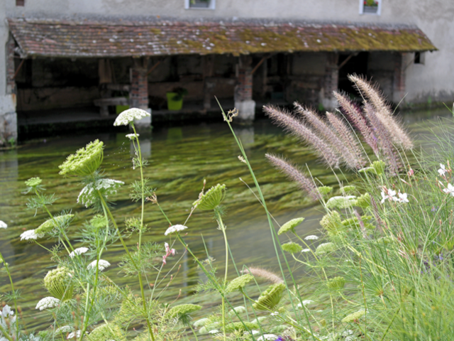 Vue sur les bords de l'Eure