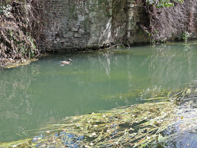Lavoir sur les bords de l'Eure